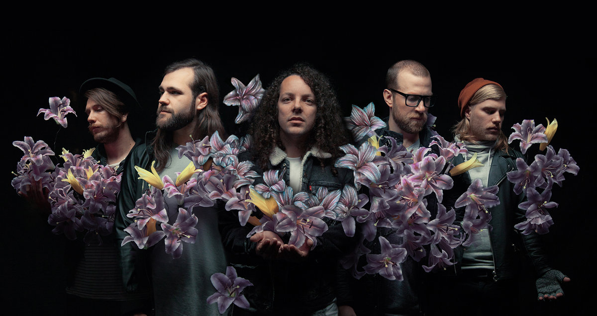 A Lot Like Birds