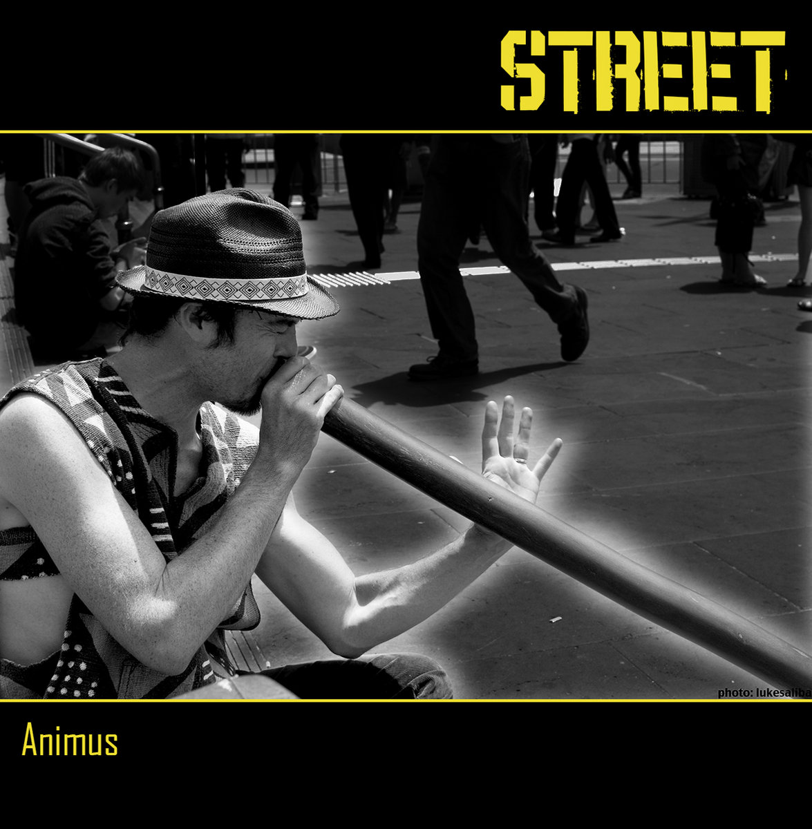 Animus