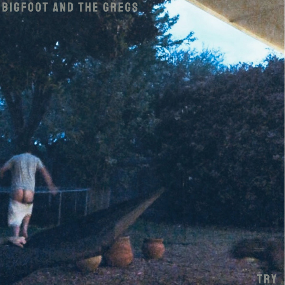 Bigfoot and the Gregs