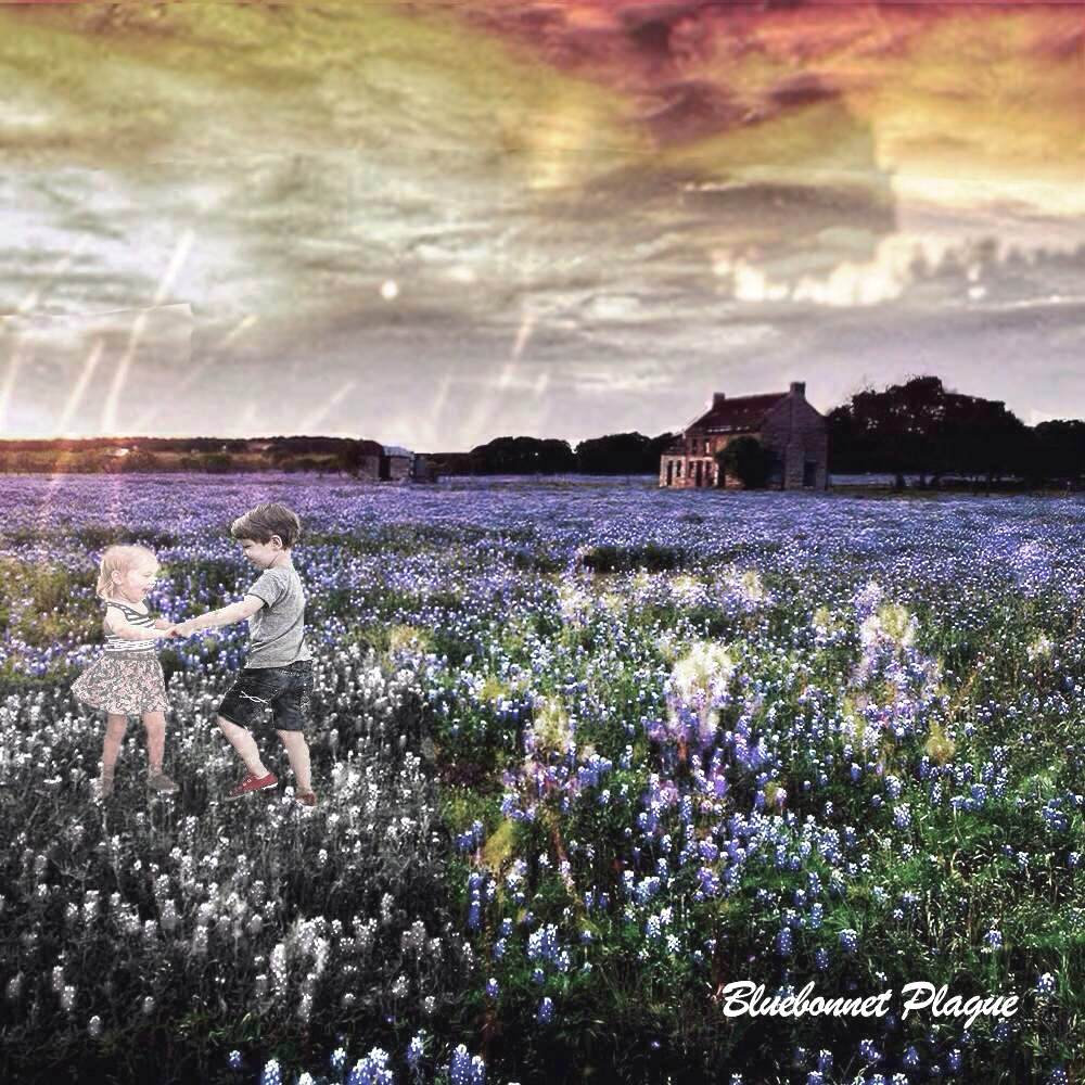 Bluebonnet Plague