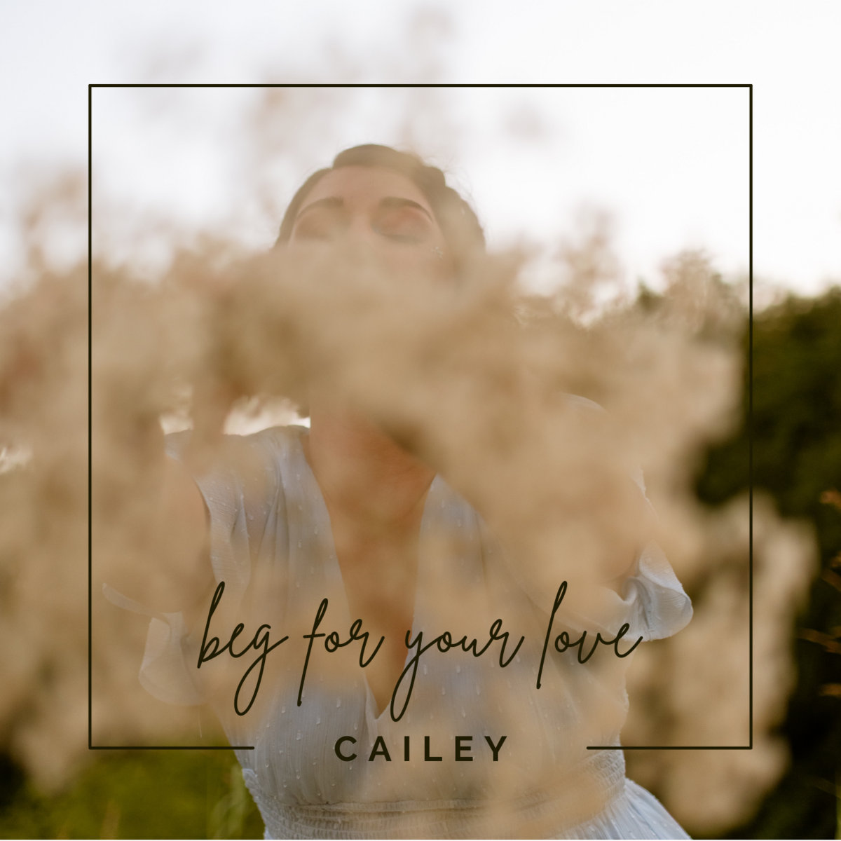 Cailey
