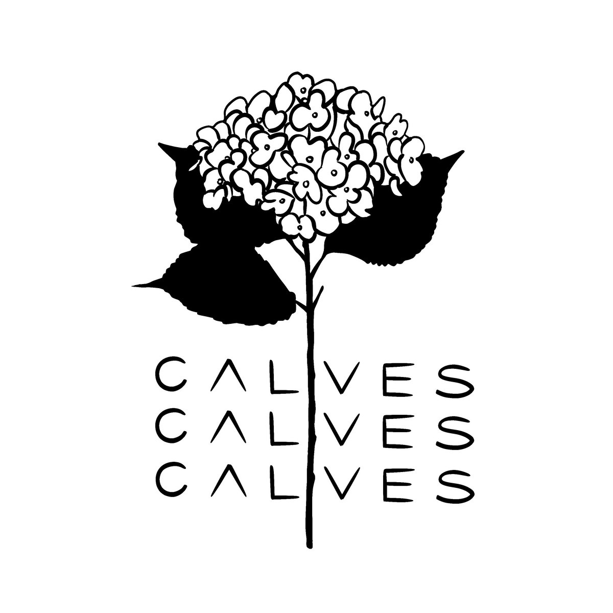 calves