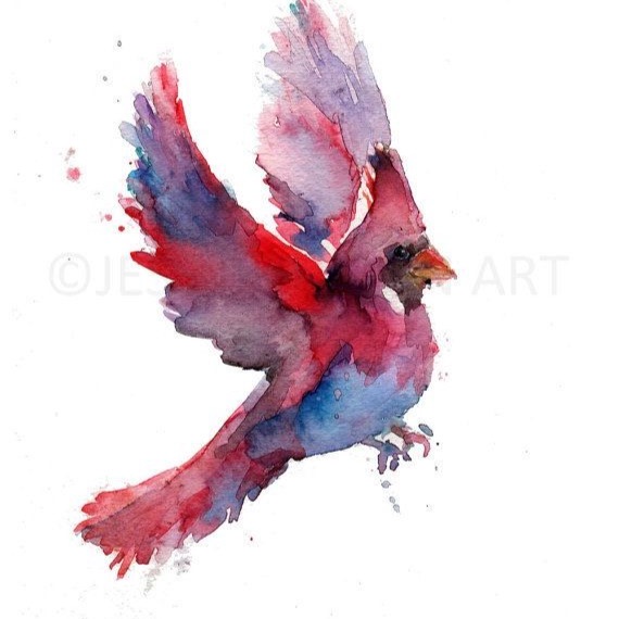Cardinal Bloom