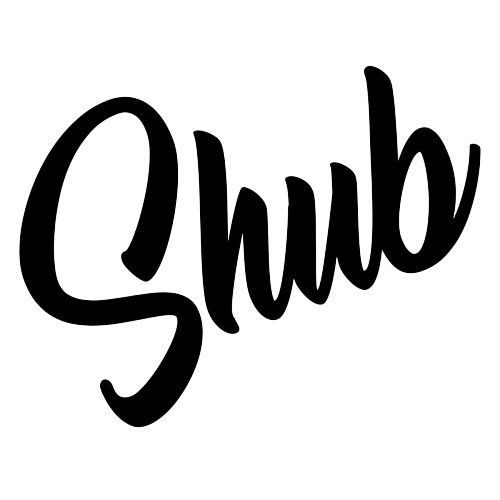 DJ Shub