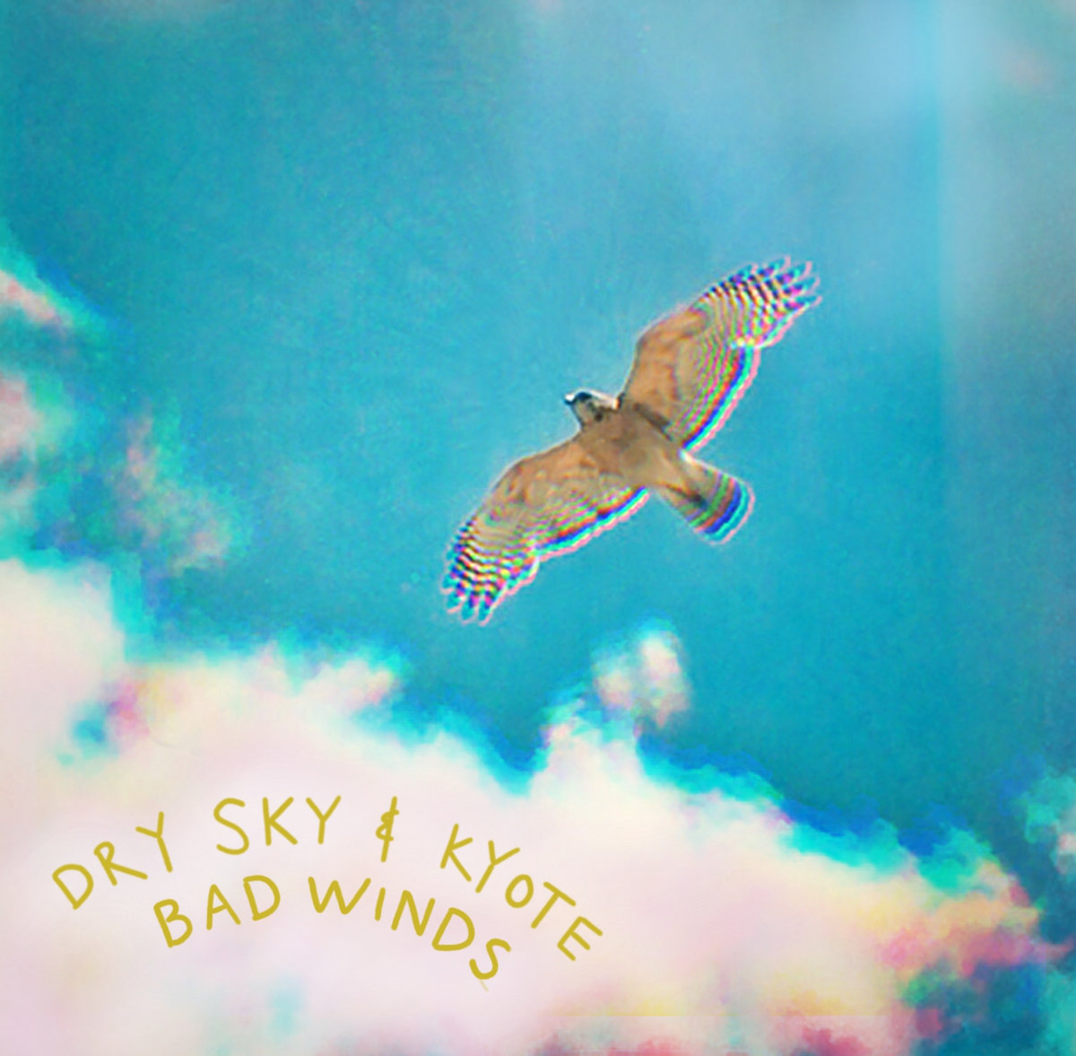 Dry Sky & Kyote