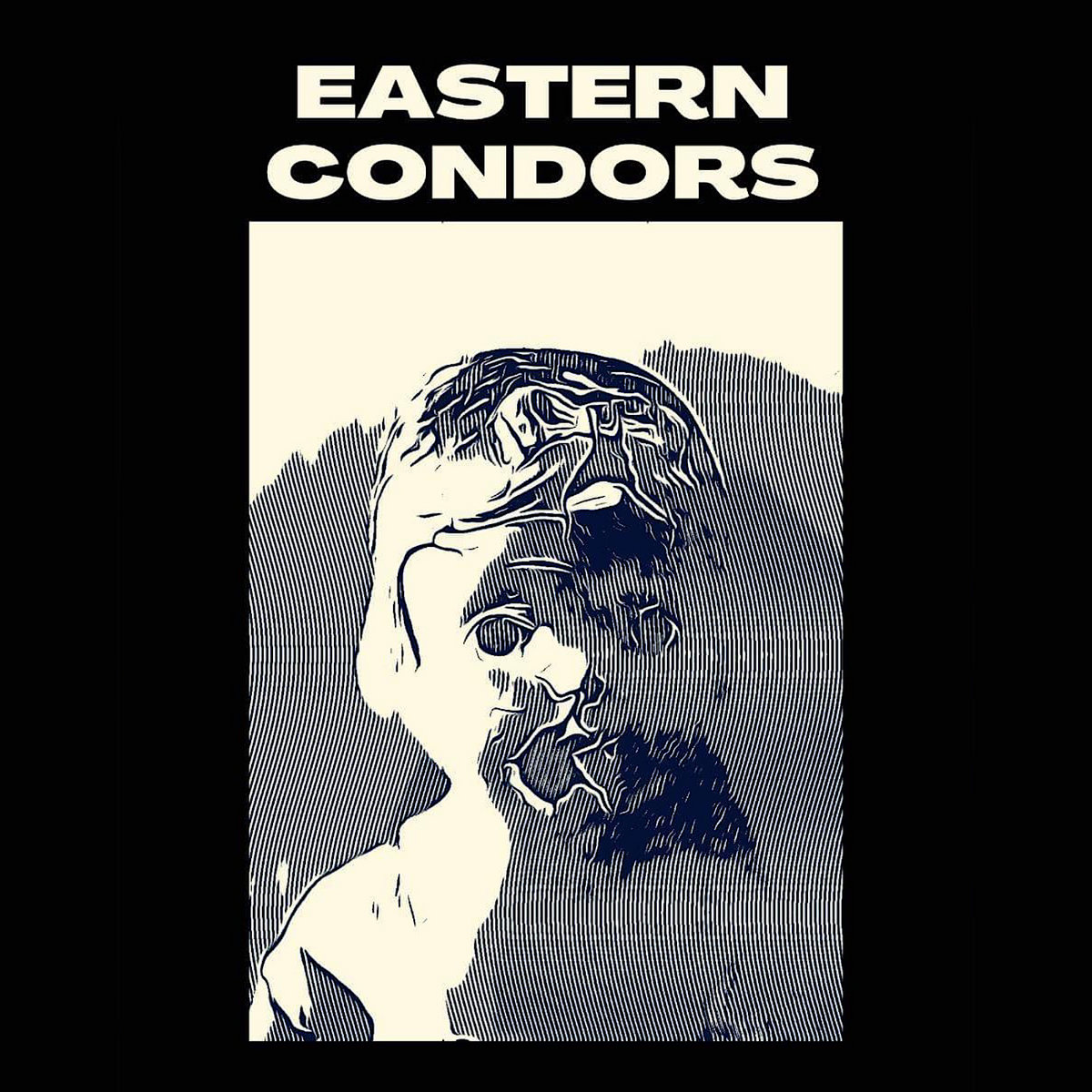 Eastern Condors