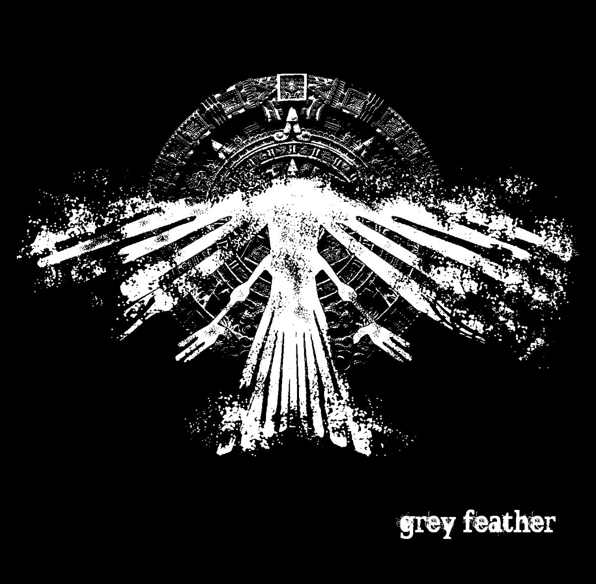 Grey Feather