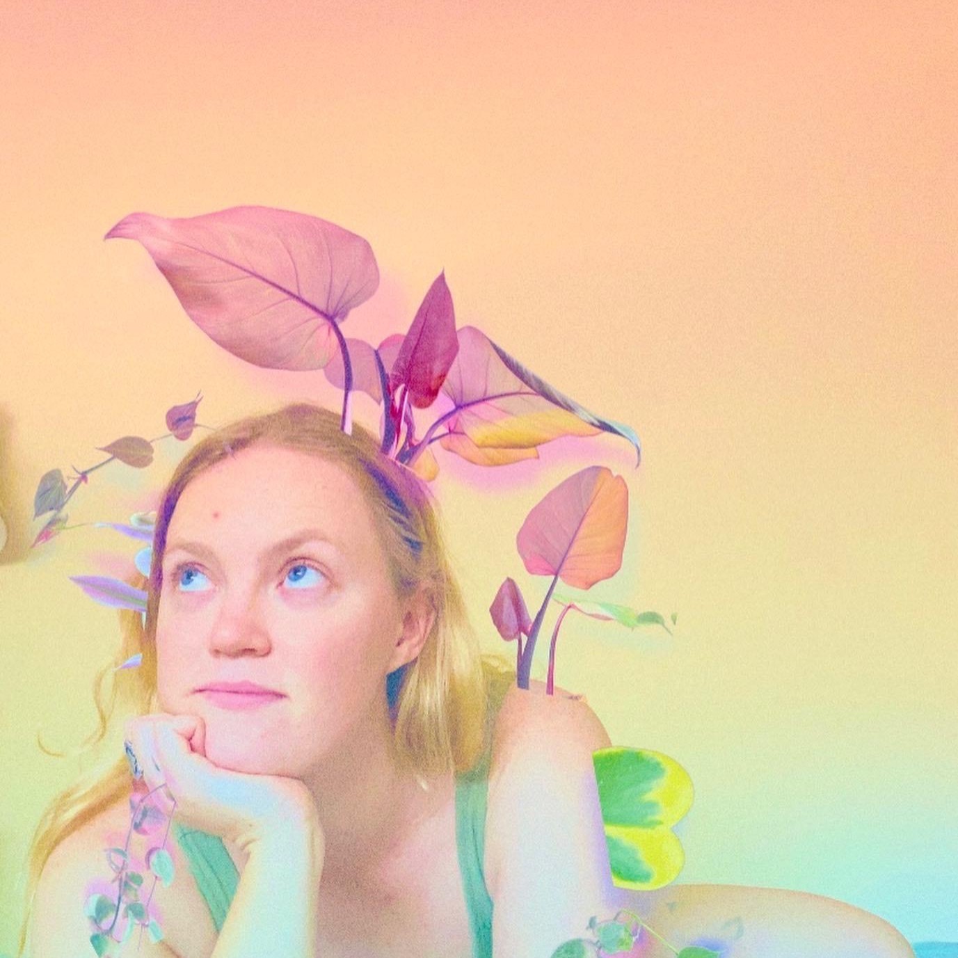 Kate Heron