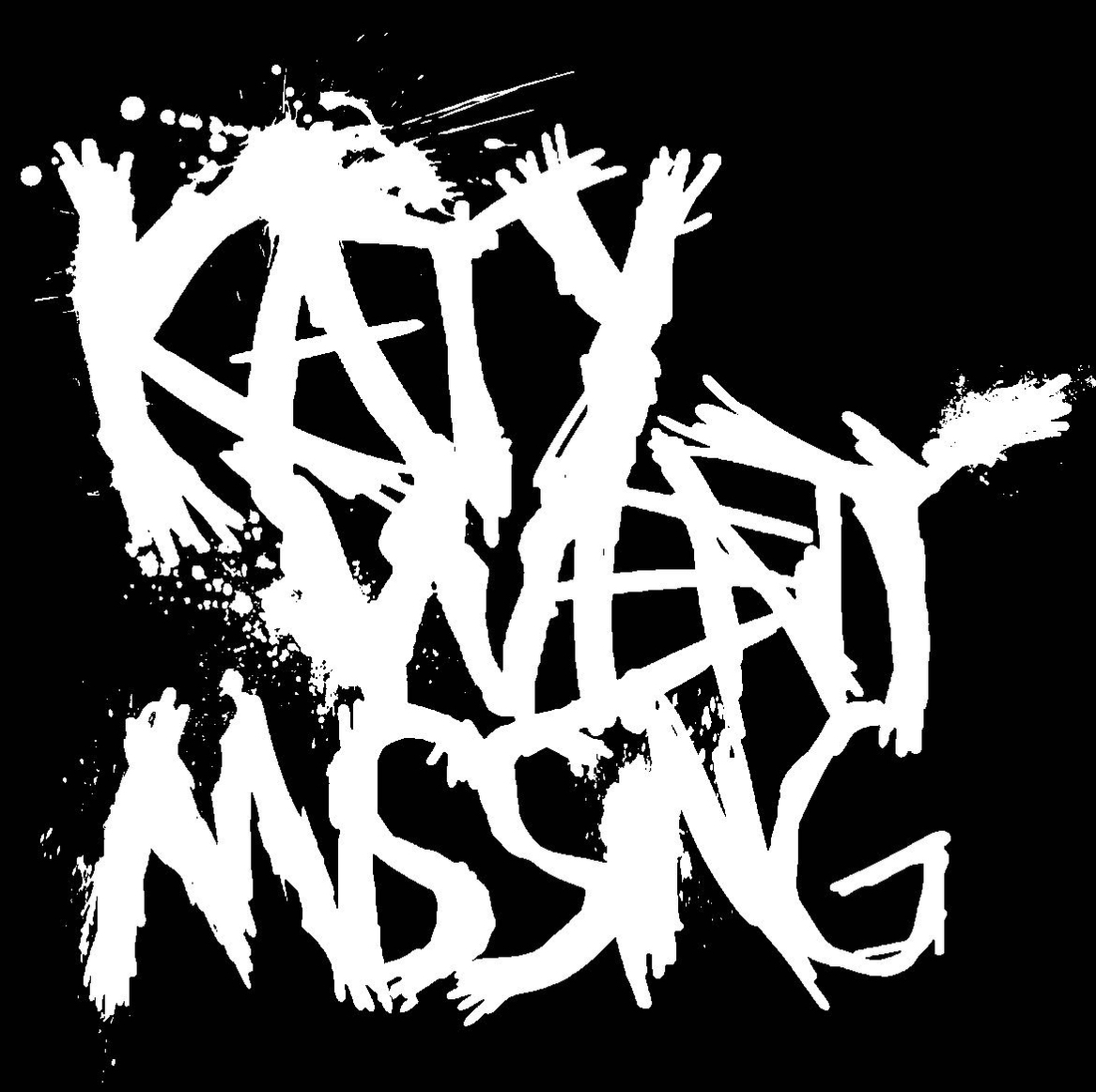 Katy Went Missing