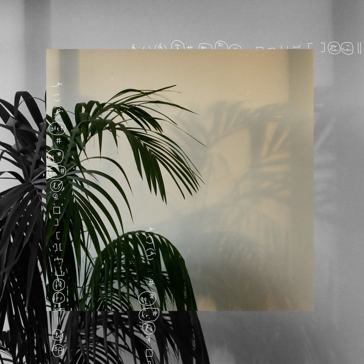 Little Image