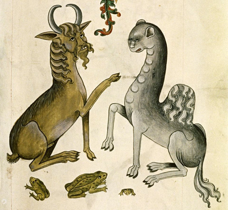 Meadowgoat