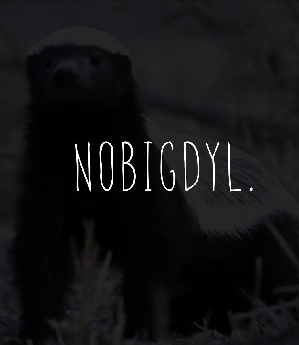 nobigdyl.