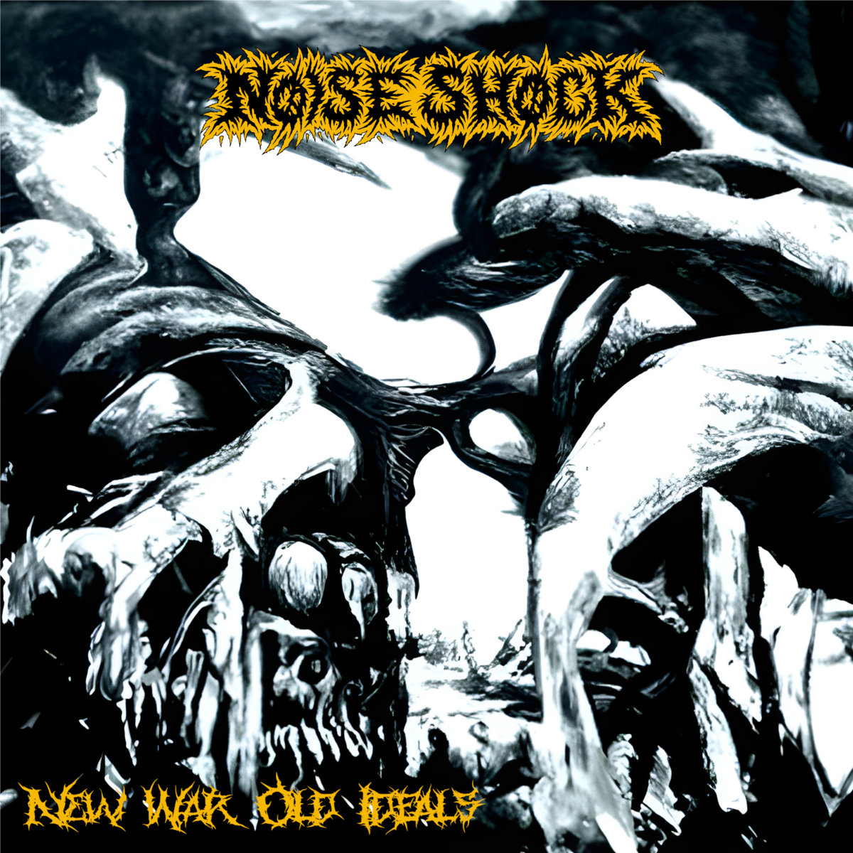 Noise Shock
