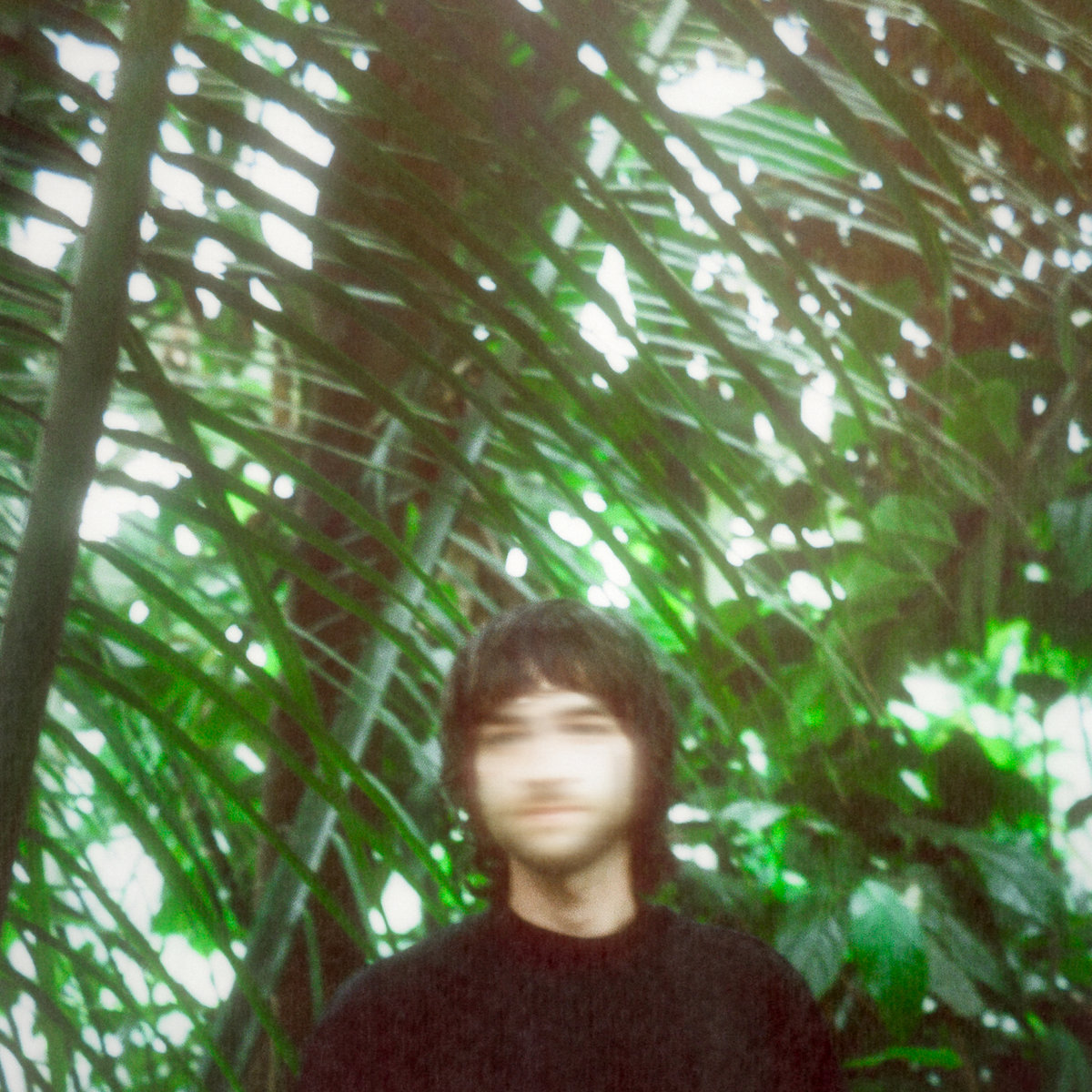 Past Palms