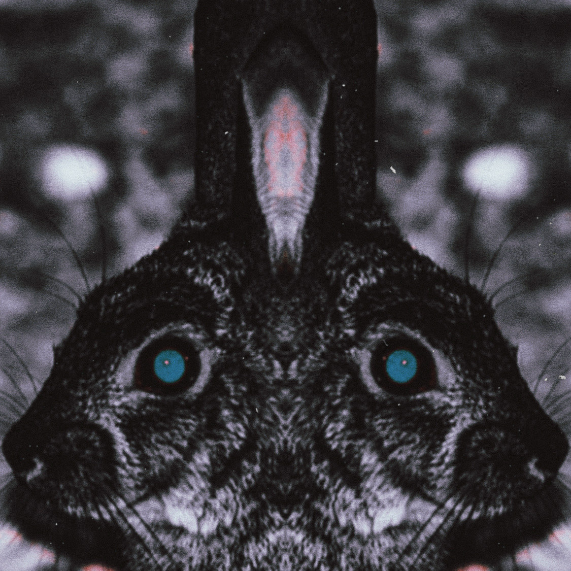 Rabbit Hole 7