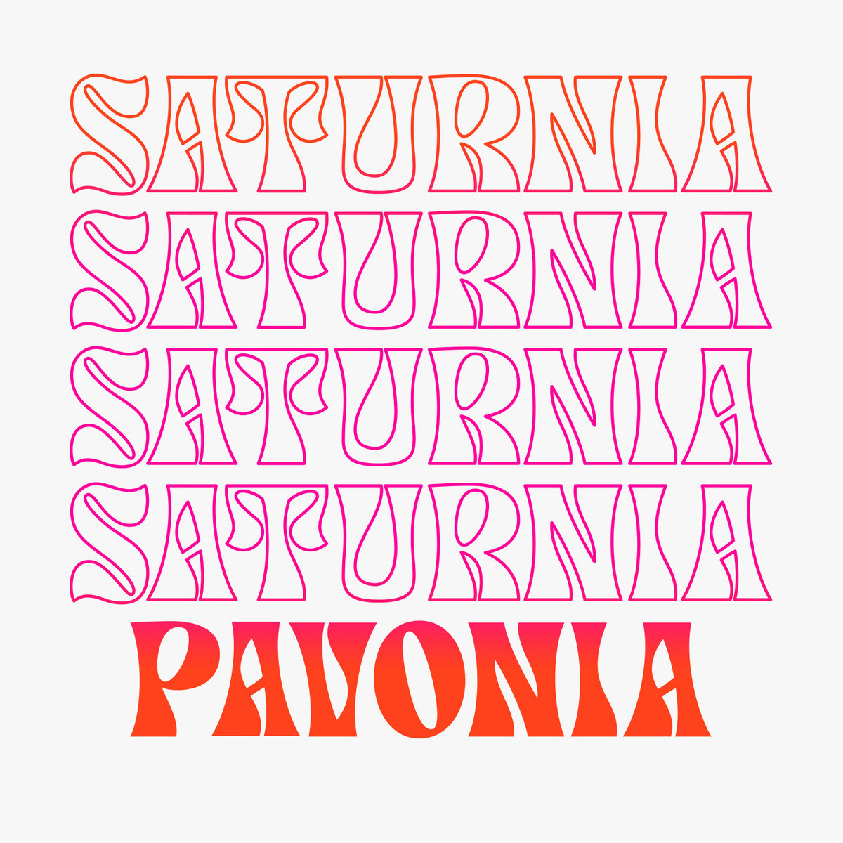 Saturnia Pavonia