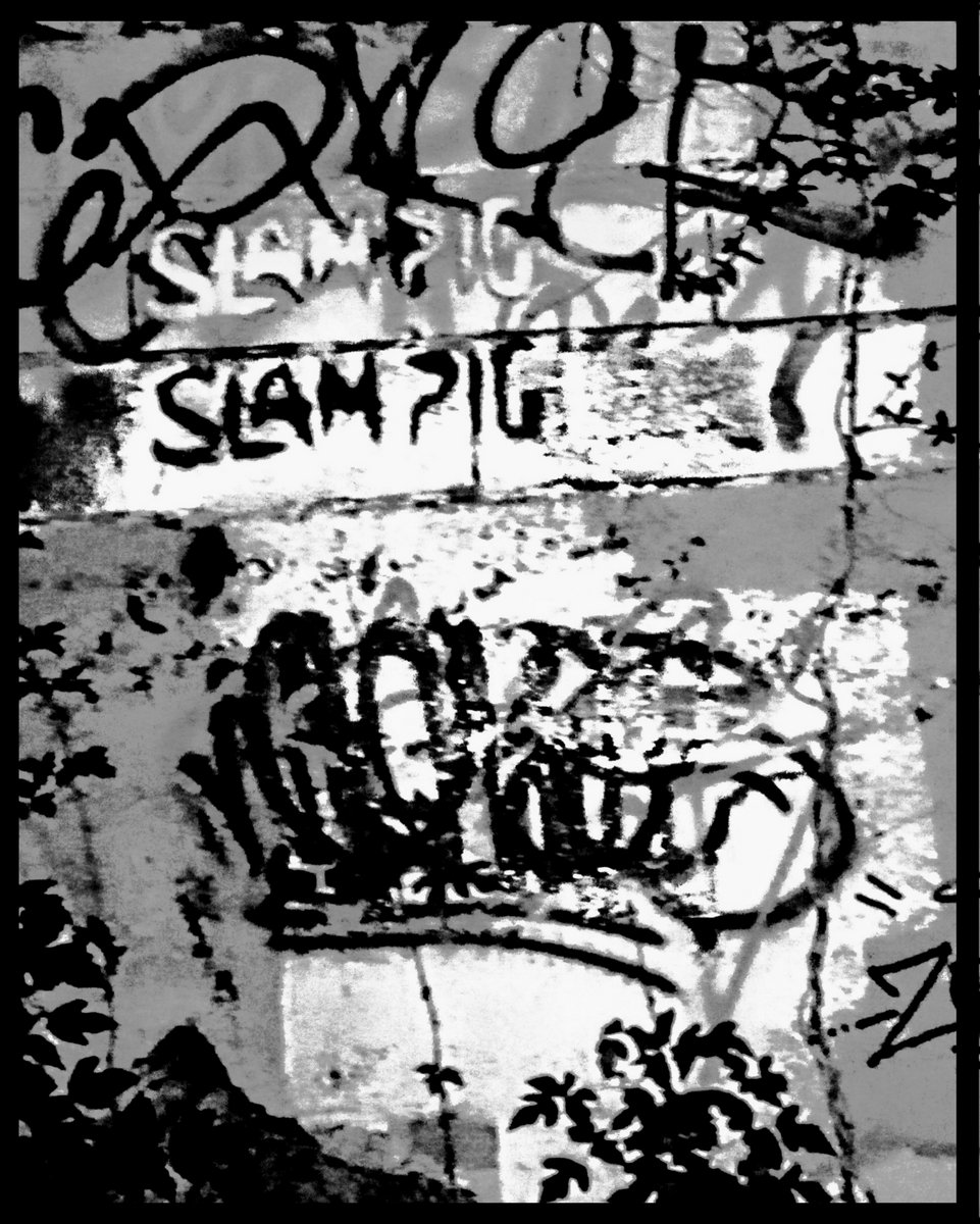 Slam Pig