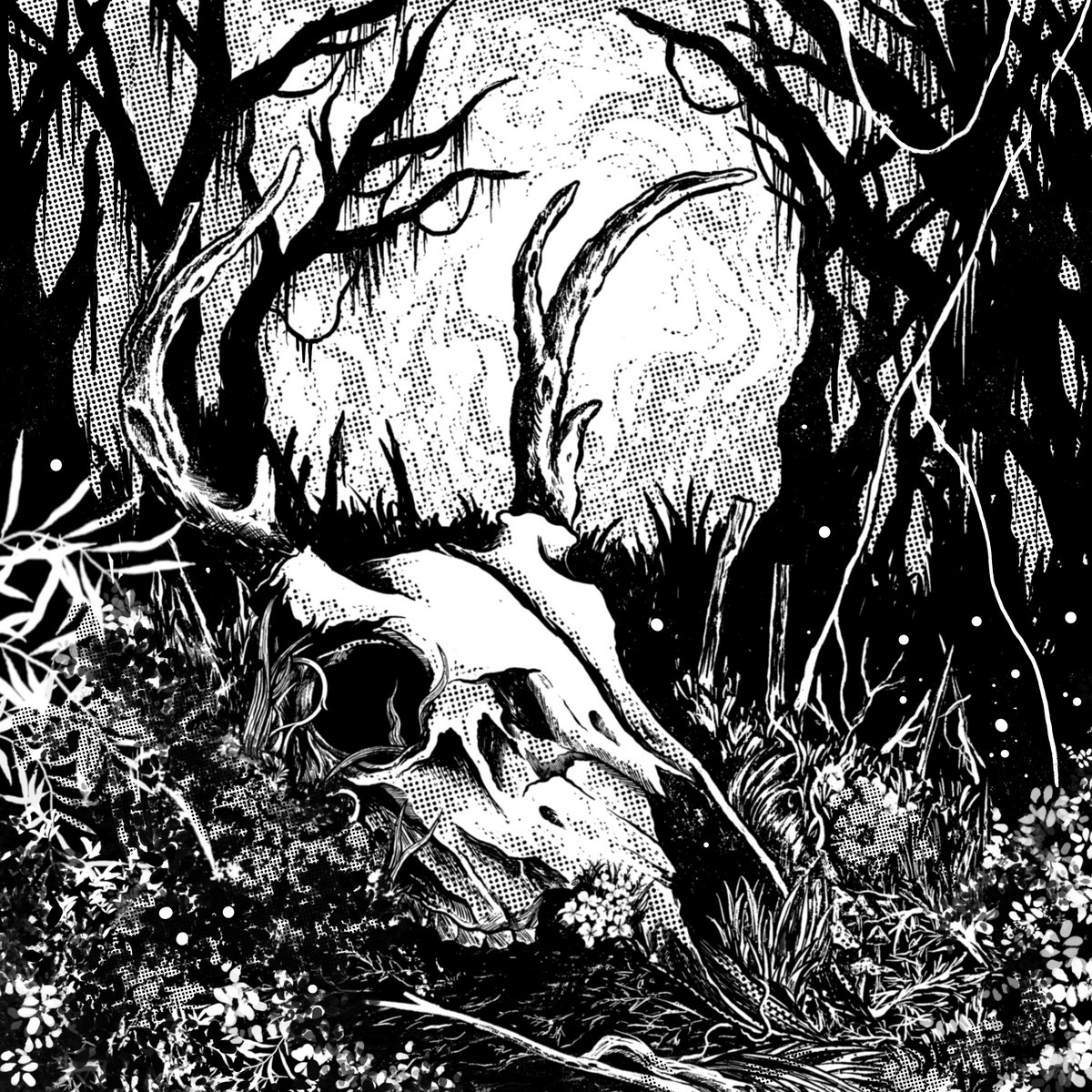 Southern Decay