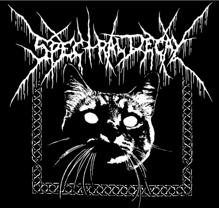 Spectral Decay