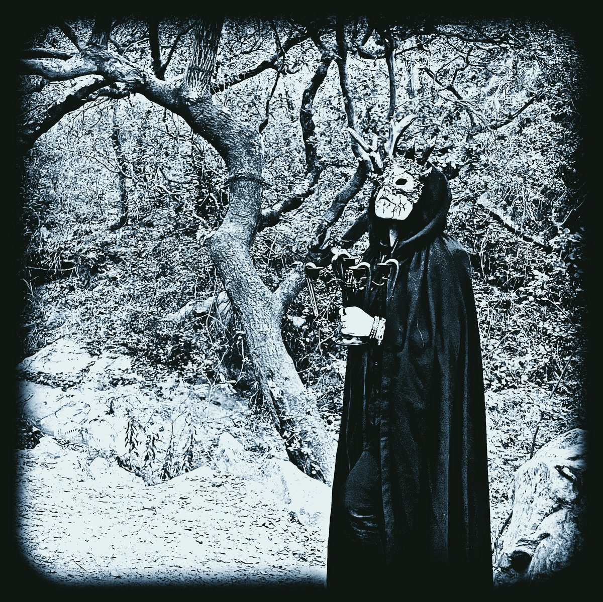 Storyteller