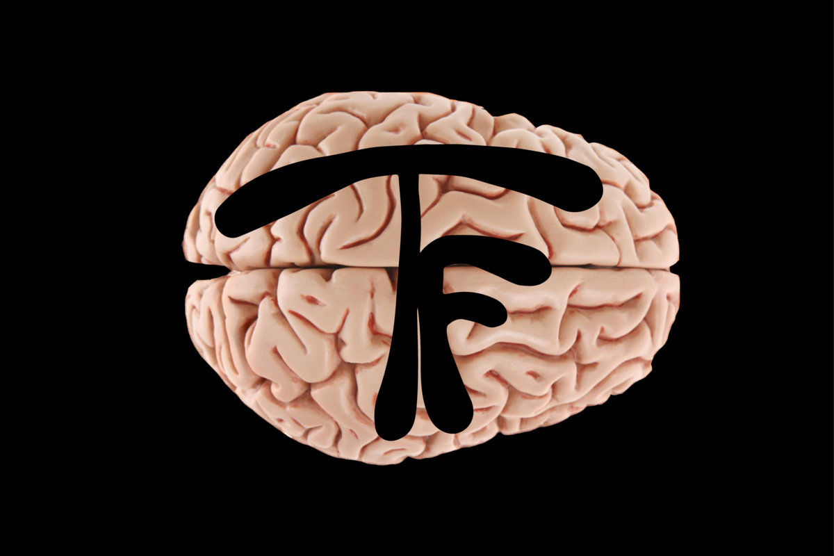 Thinky Flesh