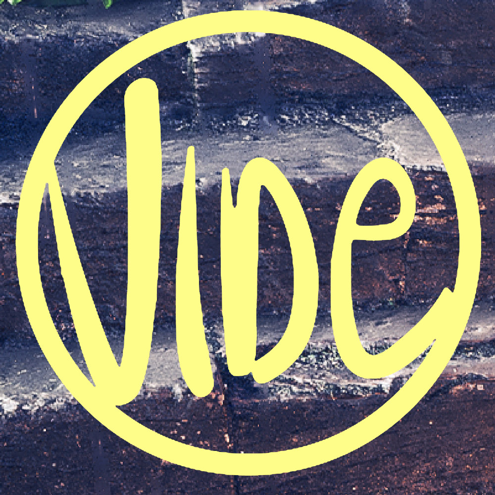 Vide