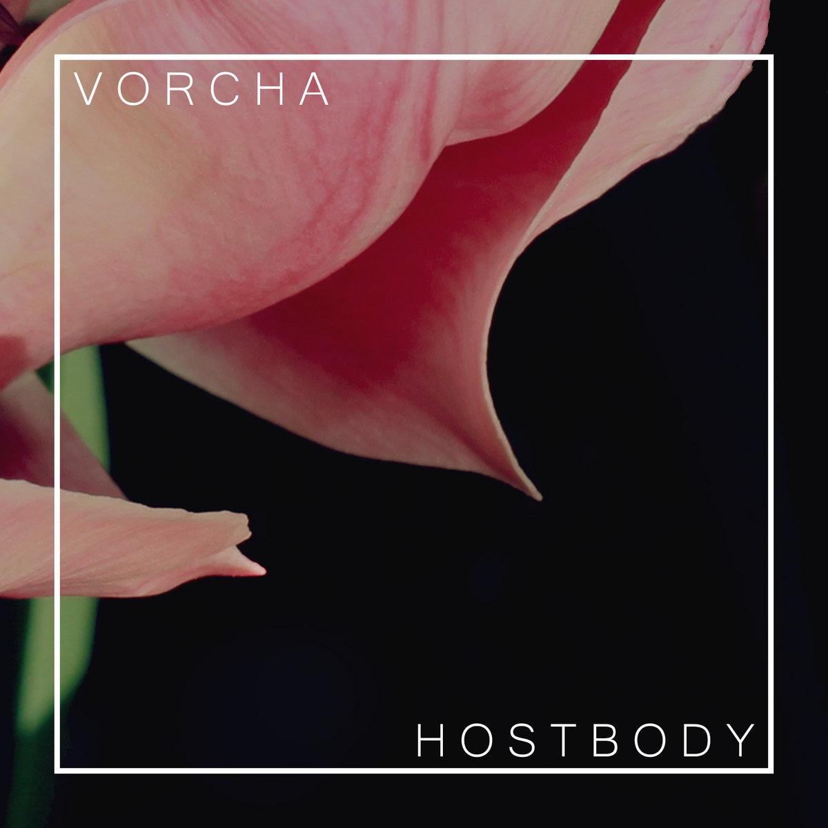 Vorcha