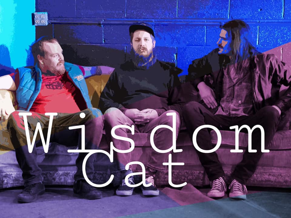 Wisdom Cat