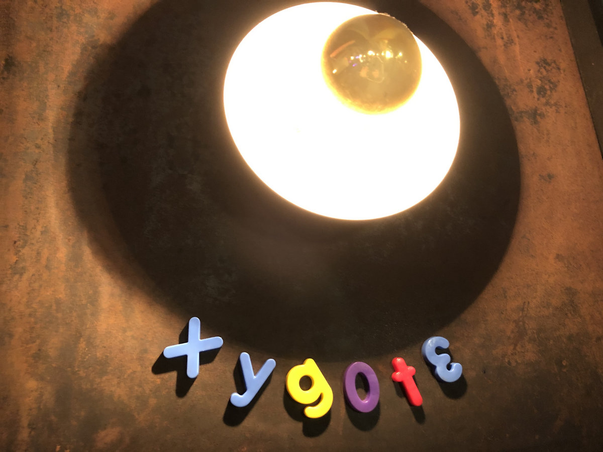 Xygote