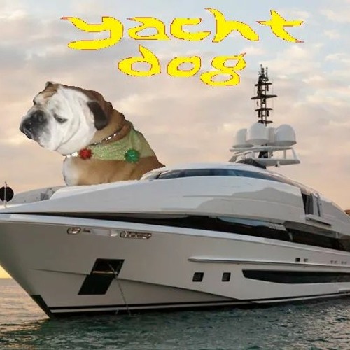 Yacht Dogs